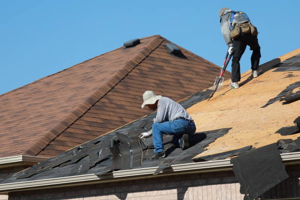 Best Gutter Installation and Repair  in Dayton, TX