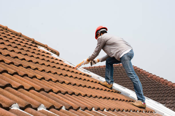 Best Roof Moss and Algae Removal  in Dayton, TX